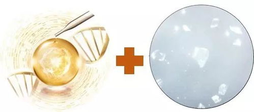 保養丨致宅家的你 囤吃囤喝別忘囤白,假期延長護膚可不能延時