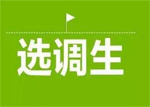 大公教育 濮陽軍轉干考試技術推廣服務，助力退役軍人成功轉型